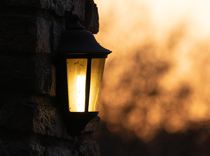 Spooky Tales on the Trail: Seedy Underworld image